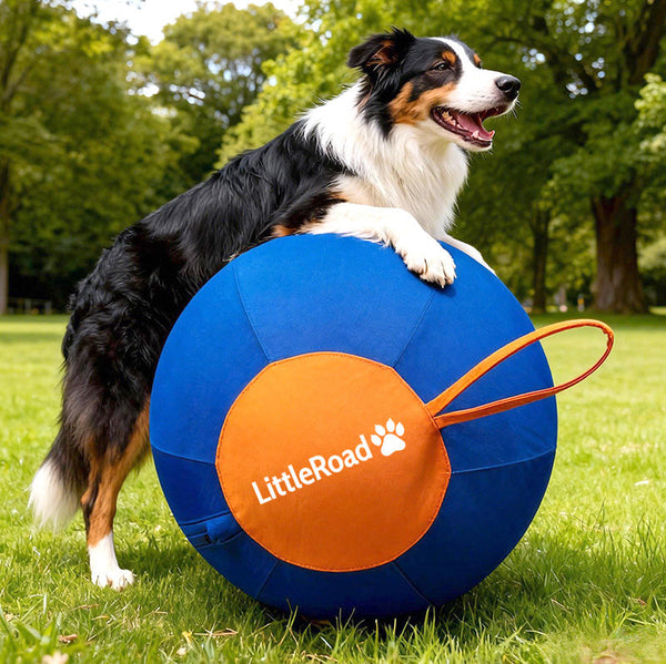 PET-GADGETS